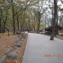 표충사주차장 이미지