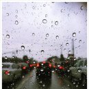 엘에이농장 이미지