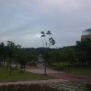 금호근린공원 이미지