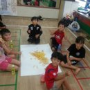 남양주시 합기도 연합회 이미지