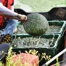 (주)젠스 이미지