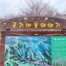 상관편백숲 공영주차장 네이버블로그