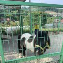 마당과다락방