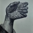 인체연필소묘 손 ㅡ 이수진님 이미지