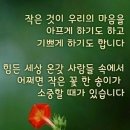 장봉항 (장봉선착장) Daum카페