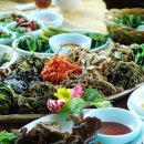 점봉산 산채 이미지