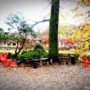 대동농원(염소) 이미지