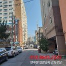 아암대로 이미지