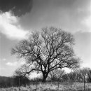 i♡목장 이미지