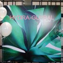 은진글로벌 이미지