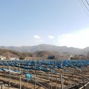 객현2리 이미지