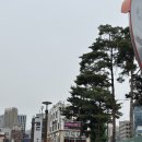장충동고기집 봉래축산 장충점에서 먹은 한정수량 봉래모듬세트 후기