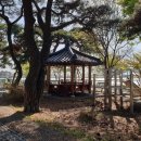 탑지 생태공원 이미지