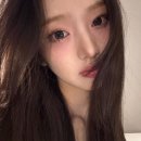 분홍고양이