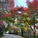 남산공원길 이미지