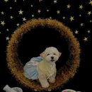 핫도그 반려견 유치원 이미지