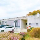 오후의 여유타임 홍차 | “강화도카페 실크로드, 차 한 잔의 여유, 오케스트라 음악과 햇살이 함께한 힐링 타임”