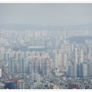 에코펜션 네이버블로그