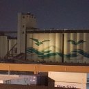 익산여객 이미지