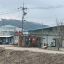 애견종합할인마트 이미지
