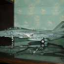 타미야 1/32 F-14 마크로스 제로 이미지