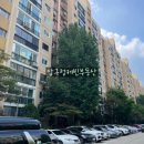 압구정-117 이미지