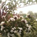 고향농장 이미지