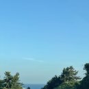 뱅인타코 네이버블로그