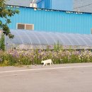 궁한옥민박 이미지