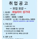 세실리아 성가대 단원모집합니다.. 이미지