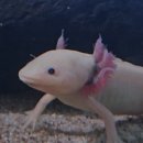 고양수족관
