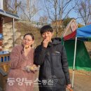 예산사과