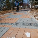 남한강 자전거길 이미지