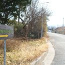 한림1구경로당 네이버블로그