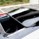 뉴버디클럽 이미지