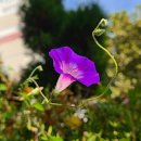 바른몸채담한의원 이미지