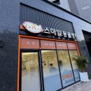 25시 종합동물병원 | 대구동물병원 고양이검진 스마일 동물병원 : 고양이 스탠다드 종합건강검진 솔직후기