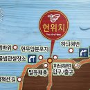 백령도 패총 이미지