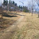 청초호유원지(남측) 이미지