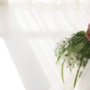 사진과디자인 | [웨딩준비] 웨딩사진 외부보정 후기 | WS디자인 전후 비교, 스튜디오 보정보다 만족!