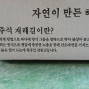 해일수산 이미지