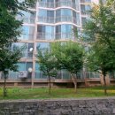 푸른마을아파트 이미지