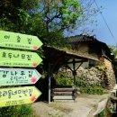 사철나무집민박 이미지