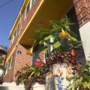 천우화원 이미지