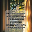 참사랑유치원(집단급식소) | 사랑 명상 985