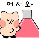 숙이네수산 - 당진시 장고항로 334-48 | 숙이네수산