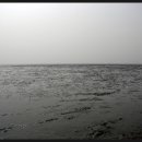 하전어촌체험마을 이미지