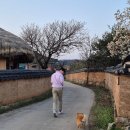 지석민박 이미지