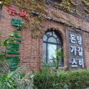 뉴욕뉴욕 티스토리