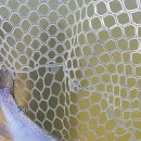 돌다리낚시터 이미지